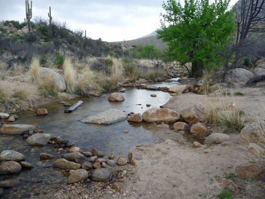 Sutherland Wash Catalina SP