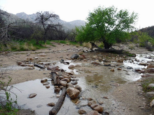 Creek crossing Canyon Loop Trail