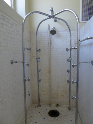Fordyce shower