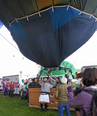 Zebra at Balloon Fiesta