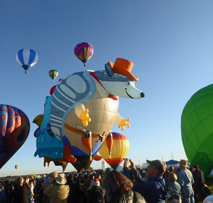 Armadillo balloon