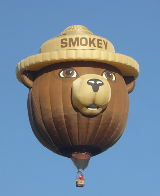 Smokey the bear balloon