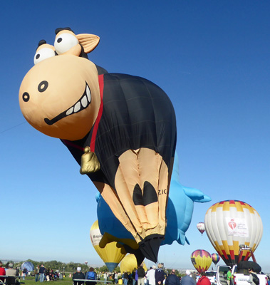 Black sheep balloon