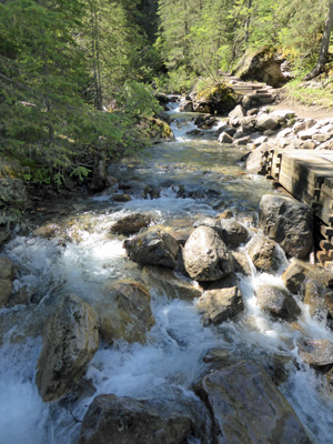 Sulfur Creek at Source of Springs