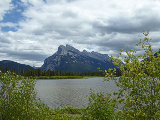 Vermilion Lakes and Mount Rundle