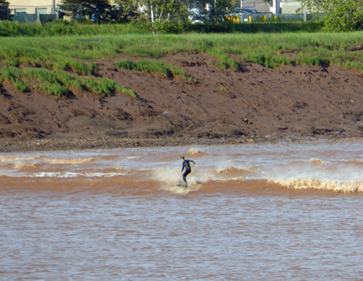 Surfer on Tidal Bore Moncton NB