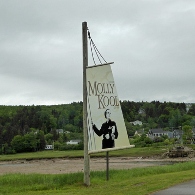 Molly Kool banner