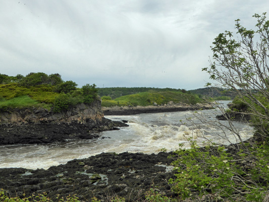 Saint John NB Reversing Falls Low tide