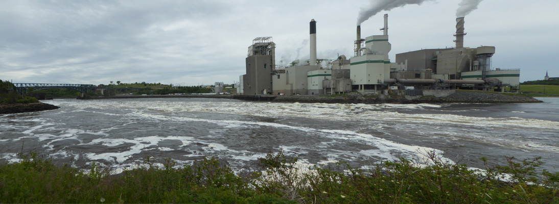 Saint John NB Reversing Falls Low Tide