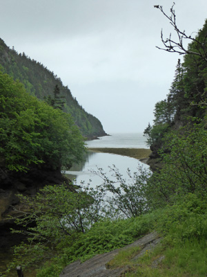 Point Wolfe Fundy NP
