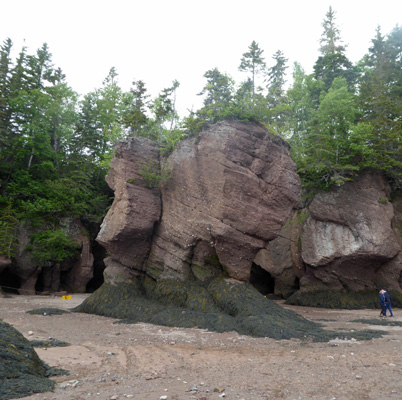 Flowerpot Rocks Hopewell Rocks NB