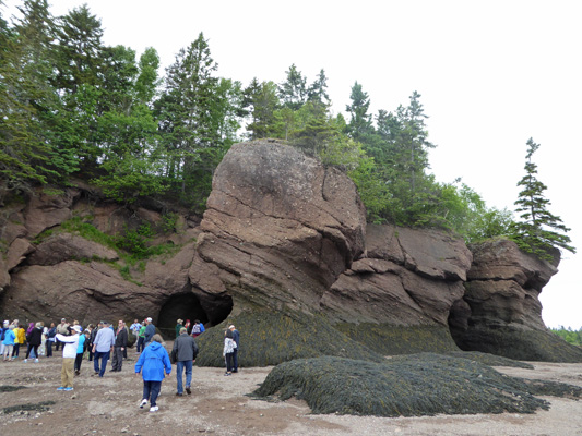 Flowerpot Rocks Hopewell Rocks NB