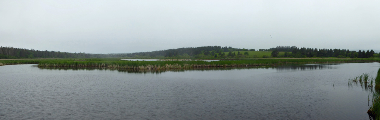 Lars Larsen Marsh NB