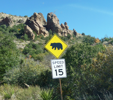 Bear Crossing sign Chisos Basin Big Bend NP