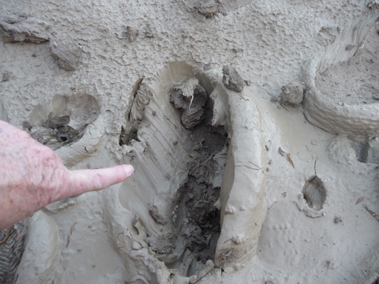 Footprint in mud