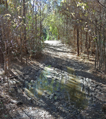 Mud on Village Slough trail