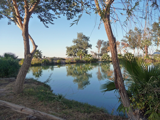 Reflections in pond Rio Bend RV El Centro CA