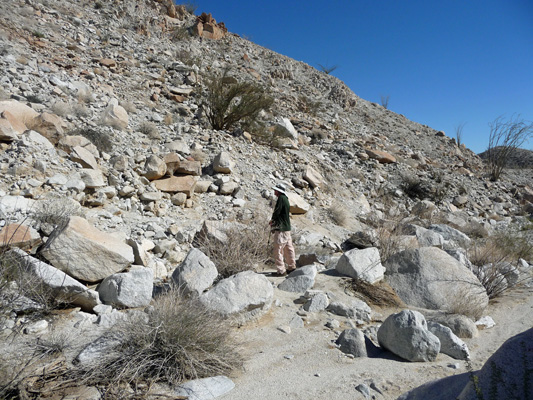 Walter Cooke in Torote Canyon Anza Borrego