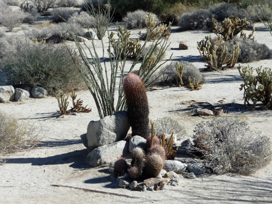 Nature Trail Anza Borrego Visitor Center