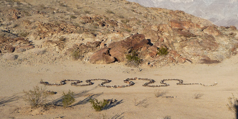 Great Stone Snake Anza Borrego