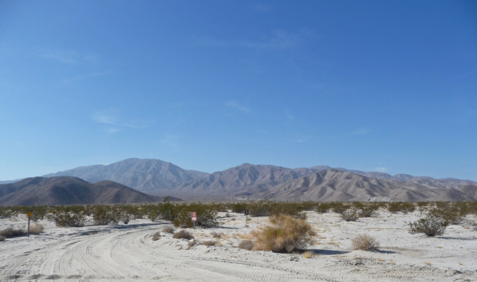 Elephant Tree Discovery Trail head Anza Borrego