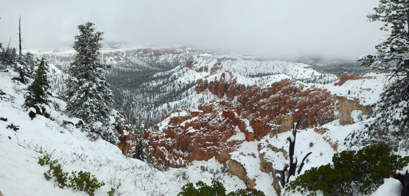 Bryce Pt in snow