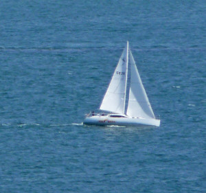 Sailboat in stiff breeze from Point Loma CA