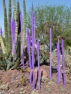Purple Chihuly Glass at Phoenix Botanical Garden
