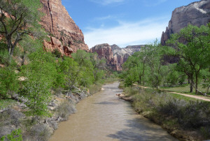 Virgin River from bridge at Zion Lodge