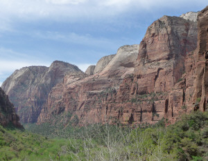 Zion Canyon from Weeping Rock