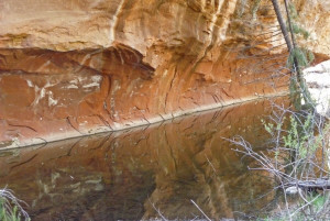 Rock reflected in Oak Creek Sedona AZ