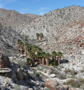 Surprise Canyon Mountain Palms Springs Trail Anza Borrego State Park CA