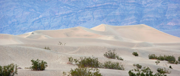 Mesquite Flats Sand Dunes Death Valley National Park CA