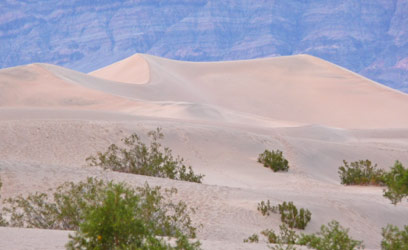 Sunset Mesquite Flats Sand Dunes Death Valley National Park CA
