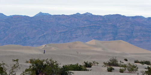 Mesquite Flats Sand Dunes Death Valley National Park CA