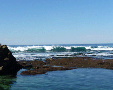 Surf at low tide La Jolla CA