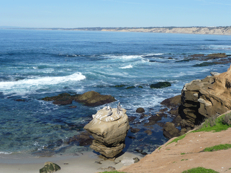 La Jolla CA