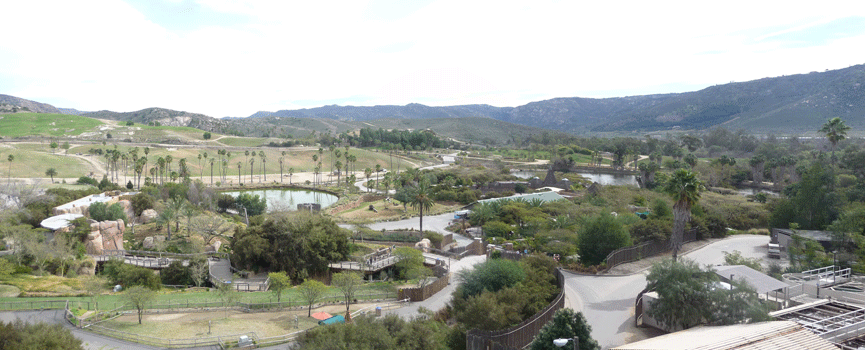 San Diego Safari Park tram entrance platform