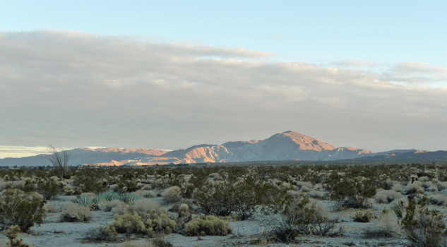 Borrego Springs afternoon light