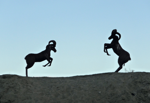 Desert Big Horn Sheep sculptures Borrego Springs CA 
