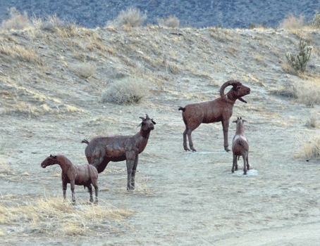 Desert Big Horn Sheep sculptures Borrego Springs CA