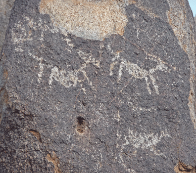 Petroglyphs Signal Hill Saguaro National Park