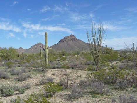 Eastward view Gilbert Ray Campground AZ