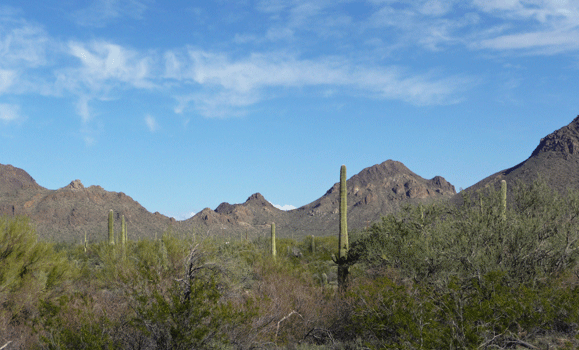 Northeast view Gilbert Ray Campground AZ