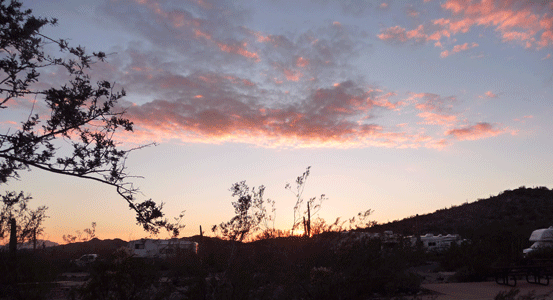 Sunset at Organ Pipe National Monument