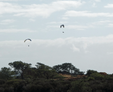 Paragliders Torrey Pines CA