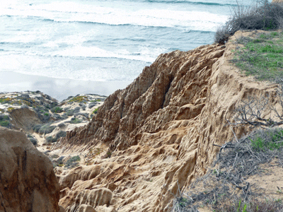 Eroded cliffs Torrey Pines State Reserve CA