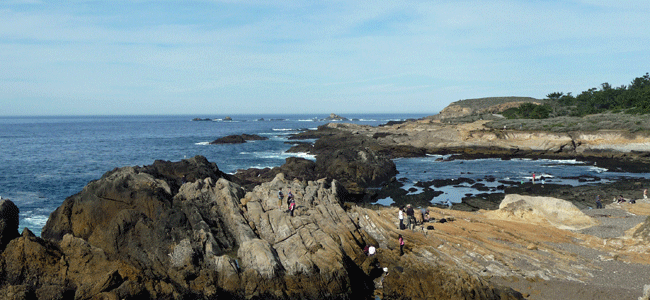 South Shore Trail Point Lobos Reserve