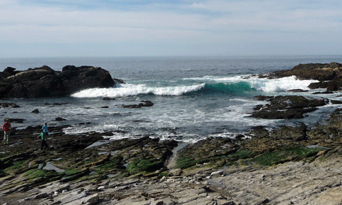 Surf in cove Point Lobos Reserve