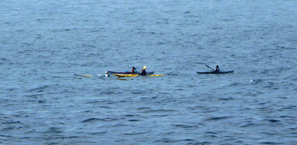 Kayaks at Point Lobos Reserve